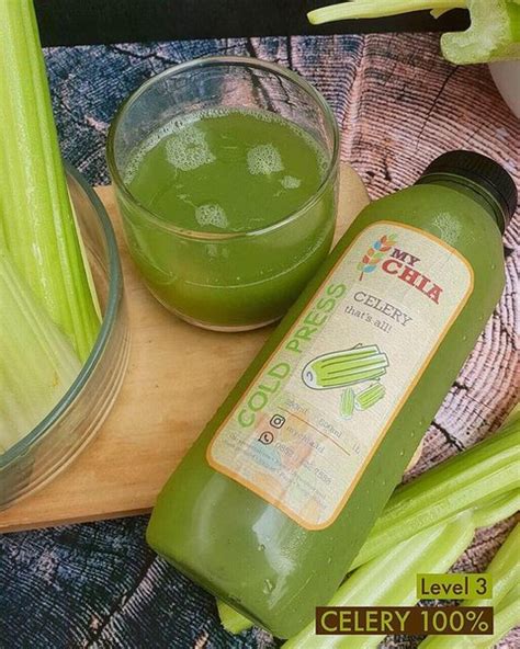 Seledri merupakan sayuran yang populeruntuk aneka masakan disamping cirikasa rasanya ada banyak sekali manfaat luar biasa dari jus seledri untuk kesehatan kita. Apa Kasiat Dari,Jus Timun Seledri Lemon / 10 Manfaat Jus ...