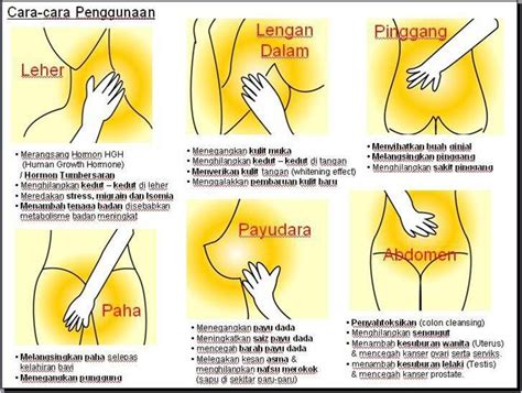 Kebanyakan lelaki mahukan dada yang tebal dan lebar untuk kelihatan lebih macho dan sado. LumiGlow™ - 6 in 1 Exquisite Skin Cream: Info Lanjut