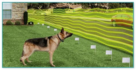 The typical cost to install an invisible dog fence is between $950 and $1500. Cost Of Invisible Fence | Home Improvement