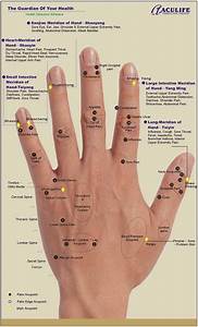 Hand Reflexology Charts Acupressure Points For Hand In 2020 Hand