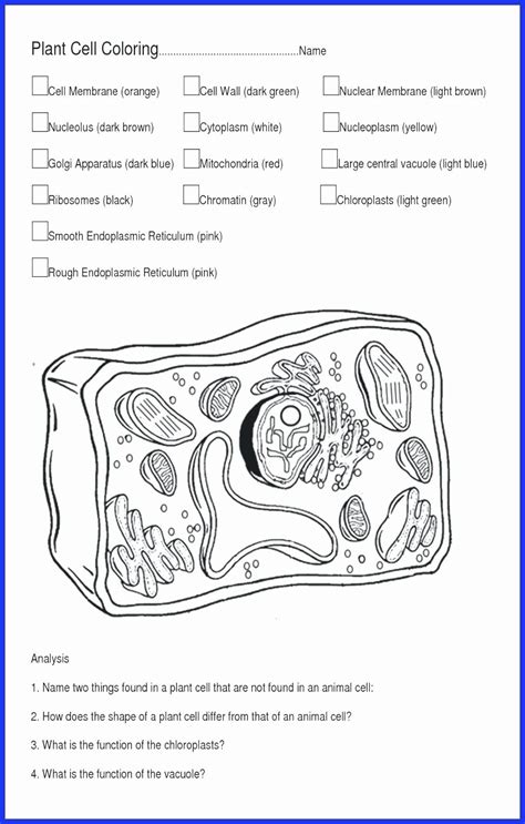 Hopefully fill the posts artikel animal and plant cell coloring worksheet answers key, we write this you can understand.alright, happy reading. Animal Coloring Answer Key | Coloring Pages Gallery en ...