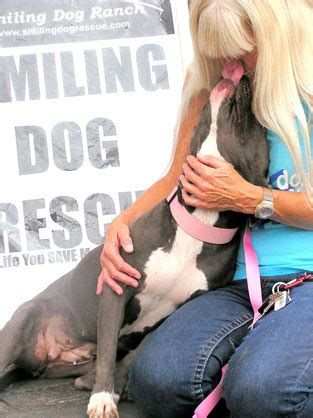 You get a new best friend, unconditional love, and peace of mind knowing you saved a life. Pets for Adoption at Smiling Dog Rescue, in Tucson, AZ ...