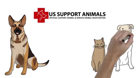 Emotional support animal registration or emotional support animal certification is not real or legitimate. Register Your Emotional Support Animal or Service Animal ...