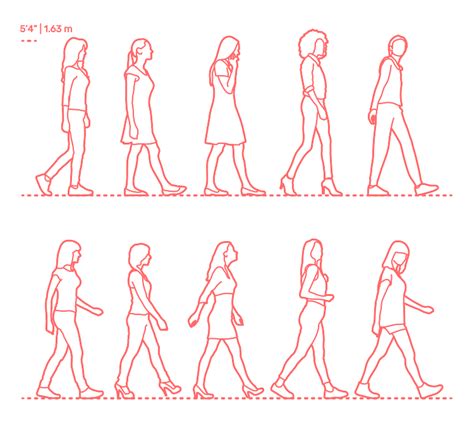 You can build on your knowledge of proportions all day long. Walking Female Side Dimensions & Drawings | Dimensions.Guide