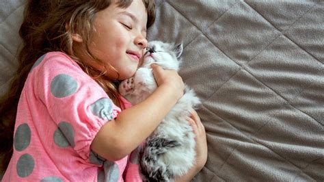 If it happens, it is possible that the doe does not know its a baby coming out. Study finds kittens bond with their human caregivers like ...