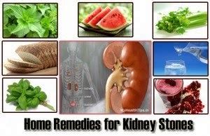 Home remedies like basil, lemon juice, apple cider vinegar, corn silk etc., help in the prevention or curing kidney stones. Natural Remedy For Kidney Disease - Blog