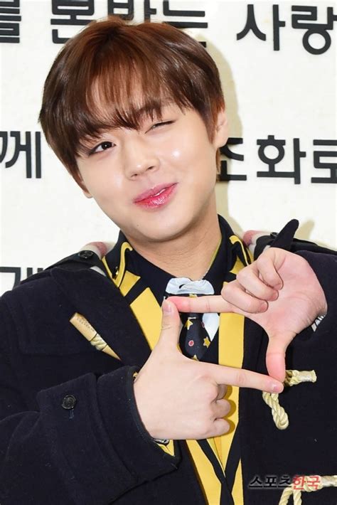 꽃 식물 자연 정원 어떤 사람도 없다. 스포츠한국:워너원 박지훈 '배경화면으로 저장~'