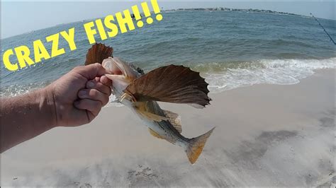 Fishing aboard an appropriately licensed party or charter boat in the marine and coastal district. The Struggle of Mid Summer Fishing - Saltwater Fishing ...