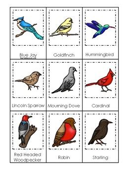 birds themed 3 part matching game printable preschool
