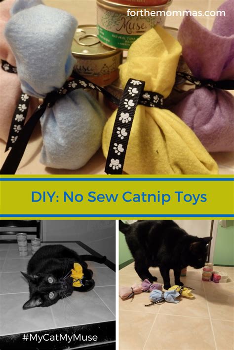 Bought a new cat bed? DIY No Sew Catnip Toys Tutorial #MyCatMyMuse | Catnip toys ...