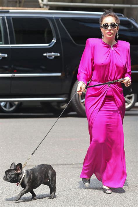 A los angeles police department spokesperson tells people a robbery occurred at 9:40 wednesday night on sierra bonita avenue in hollywood, during. Lady Gaga Dog Walking Fashion - 10 Outfits Lady Gaga Wore to Walk Her Dog