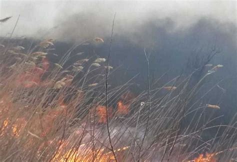 May 26, 2021 · administratia nationala de meteorologie a emis, miercuri seara, atentionari cod galben si portocaliu de vreme severa imediata pentru judetele ilfov, calarasi, ialomita, buzau, gorj si valcea. Incendiu la Periș. Laboratorul mobil de monitorizare a ...