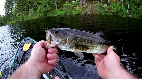 Understanding the right lures, techniques, tackle and areas to target are all key in have successfully day out on the water. Remote Pond Bass Fishing - YouTube