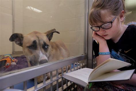 Adopters outside of that radius are considered on a. Kids read to shelter dogs at the Humane Society of Mo ...