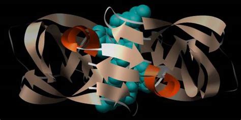 Unlike proteasome complex, the proteases share the protein molecule into the individual. Hemmung der Protease von HIV-Viren mit Inhibitoren