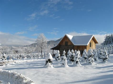 Consultez 6 907 avis de voyageurs, 7 297 photos, les meilleures offres et comparez les prix pour 276 hotels à waynesville sur tripadvisor. Back view of Clinch Cabin - Picture of Boyd Mountain Log ...