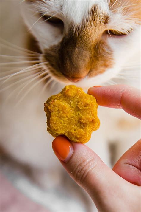 We did not find results for: Healthy Homemade Pumpkin Cat Treats - Unbound Wellness ...