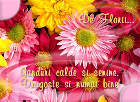 Ziua numelui să fie luminoasă şi să se prelungească în mesaje de florii 2021 în versuri. MESAJE DE FLORII. Cele mai frumoase mesaje pentru dragi cu ...