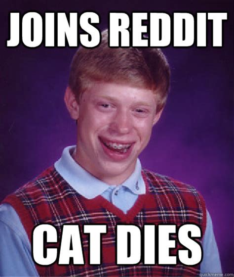 Check spelling or type a new query. Joins reddit Cat dies - Bad Luck Brian - quickmeme