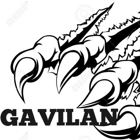 Check spelling or type a new query. Gavilán - Home | Facebook