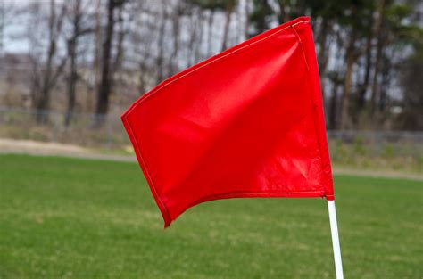 We did not find results for: 4 Lawn Care Red Flags When Shopping For A Home