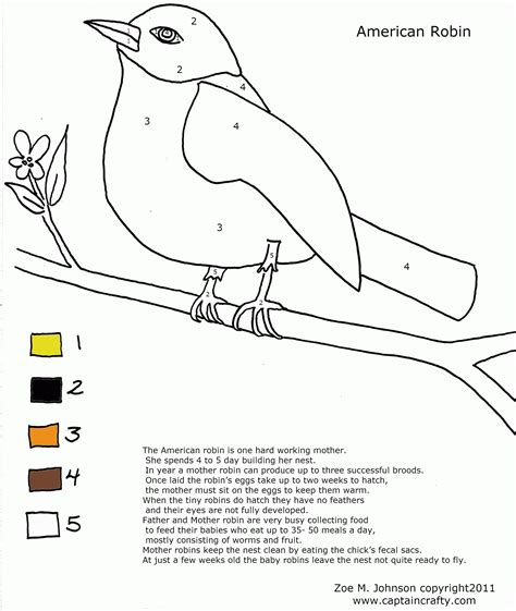 Fun, cute art for kids! Spring Robin Coloring Pages - Coloring Home