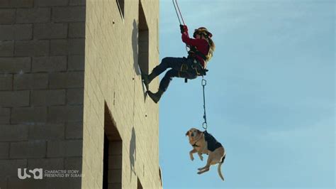 Meet your new best friend today! My daughter and her urban search and rescue dog in a ...