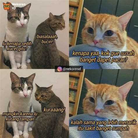 Lihat ide lainnya tentang lucu, meme, meme kucing. Nyesek! 10 Meme Kucing Oren ala Sadboy Ini Kocak Sekaligus ...