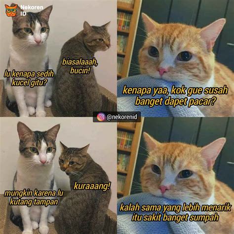 Meme kucing | cat meme 2020. Nyesek! 10 Meme Kucing Oren ala Sadboy Ini Kocak Sekaligus ...