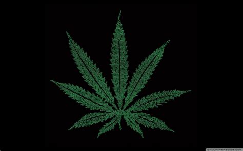 Weed ultrahd wallpaper for wide 16:10 5:3 widescreen whxga wqxga wuxga wxga wga ; Weed 4k Wallpapers - Wallpaper Cave