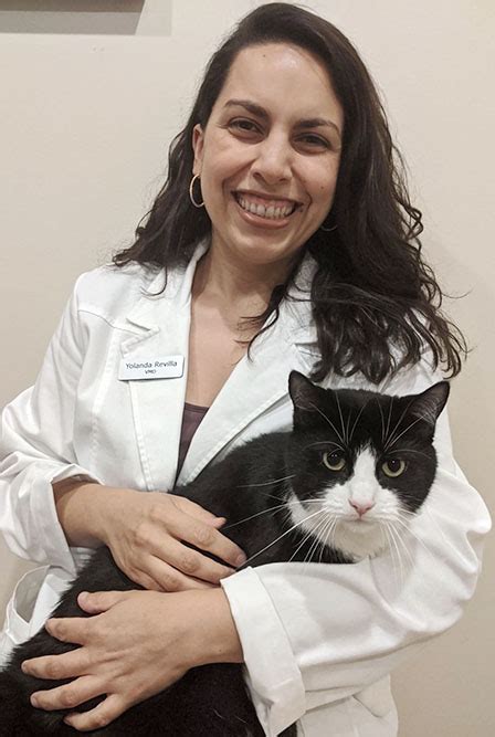 Yolanda Revilla | The Cat Hospital of Media