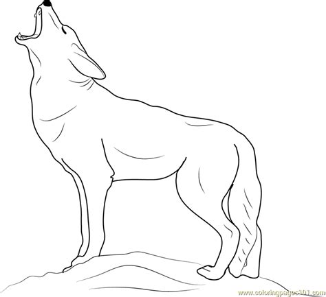 Free coyote howling moon coloring page online. Coyote Howling Coloring Page - Free Coyote Coloring Pages ...