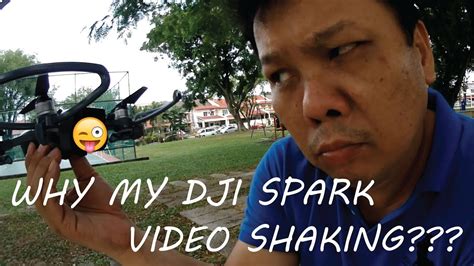 They amaze you every time with their little tricks and baby nature. Why my DJI SPARK video shaking??? - YouTube