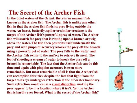 At a typical shooting angle of 74° from the horizontal, the refraction causes the archer fish to see it at 78°. PPT - Chapter 17 Reflection and Refraction PowerPoint Presentation, free download - ID:747312