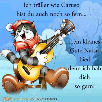 Hier werden täglich witze und sprüche gepostet! Grüße zur Nacht - animiert | Gute nacht bilder, Gute nacht ...
