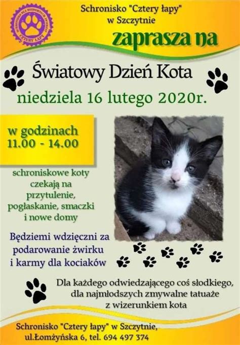 W polsce, w nadchodzący weekend, święto będzie obchodzone po raz drugi. Światowy Dzień Kota - Miasto Szczytno