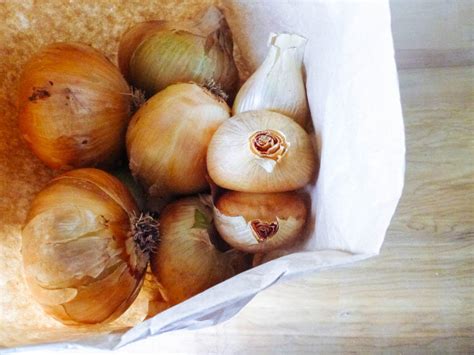 Ned passed away from natural causes sunday morning, surrounded by his family and loved ones. 7 Secrets to Harvesting, Curing, and Storing Onions ...