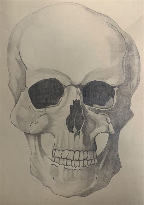 See your favorite coloured pencil drawings and drawing colour pencils discounted & on sale. 4B and 2B pencils used | Skull drawing, 2b pencil, Drawings