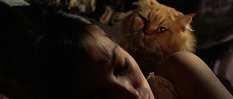 Kisarazu cat's eye (木更津キャッツアイ, kisarazu kyattsu ai) is a humorous japanese television show and movie series. The Top 10 Craziest Giallo Titles of All-Time | Flickchart ...