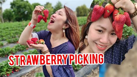 Strawberry Picking #Beerenberg #Strawberries #Hahndorf - YouTube