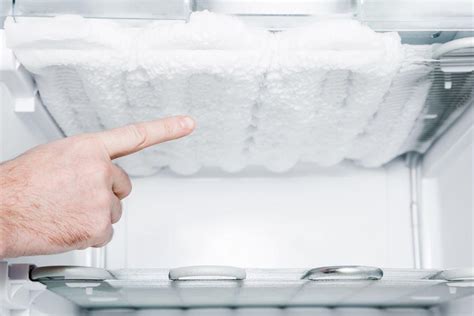 Should you freeze food when raw or cooked? Why Is My Refrigerator Freezing Up? - Mike's Quality ...