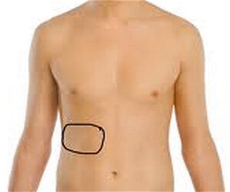 The pain under rib cage may change from minor discomfort to severe pain. Lump In Stomach Near Rib Cage