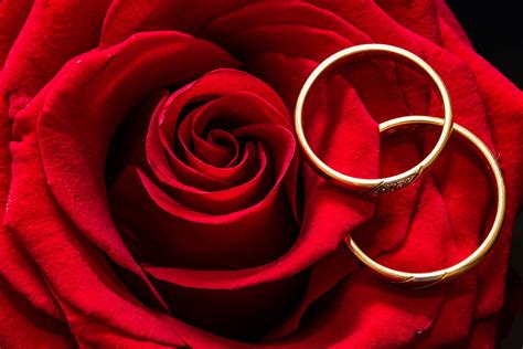 Alla fine sei sempre un giovanotto, dimostri sempre 25 anni, solo che ora hai 5 anni di buon compleanno! Fiori 50 Anni - Buon Compleanno A Te Saluto Carte Di Nota ...