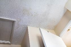 Mold and mildew can appear in areas of your home wherever moisture is present, and ventilation is limited. The Silent Killer: Hidden Dangers in Your Home | Kanner ...