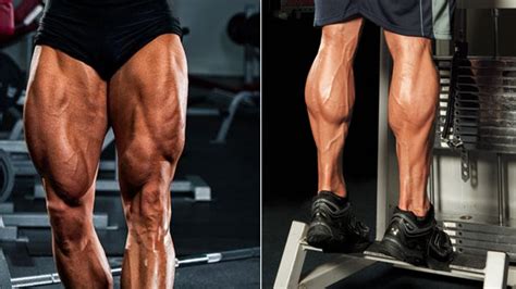 Cette affection du système digestif est le plus le corps est mis à dure épreuve pendant une gastro, car la diarrhée et les vomissements lui font perdre beaucoup d'eau. Un super programme pour vous muscler les jambes