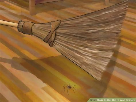 How to pest can help. 4 Ways to Get Rid of Wolf Spiders - wikiHow