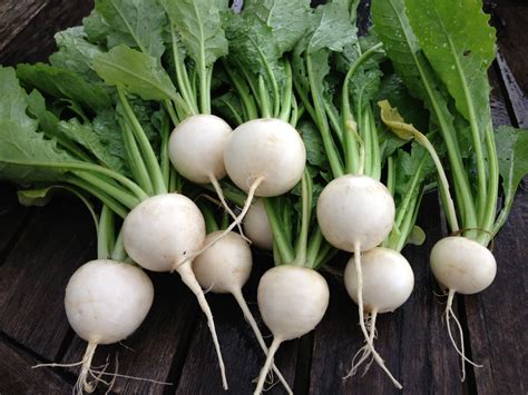 It may be scary at first, but it's good to get used to it, as it's very simple to use. Terrific Turnip Salad- The Natural Cardiologist