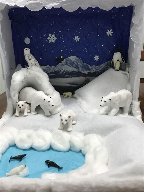 We have lotsof open house ideas for kindergarten for anyone to optfor. Polar bear diorama- Kindergarten | Diorama kids, Polar ...