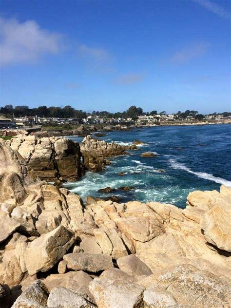 In the town of monterey, the monterey bay aquarium sits at the end of cannery row. Monterey Bay | Beautiful places, Monterey bay, Outdoor