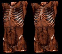 Anatomy human rib cage 3d model. 45 Best Rib cage anatomy study images | Anatomy, Rib cage ...